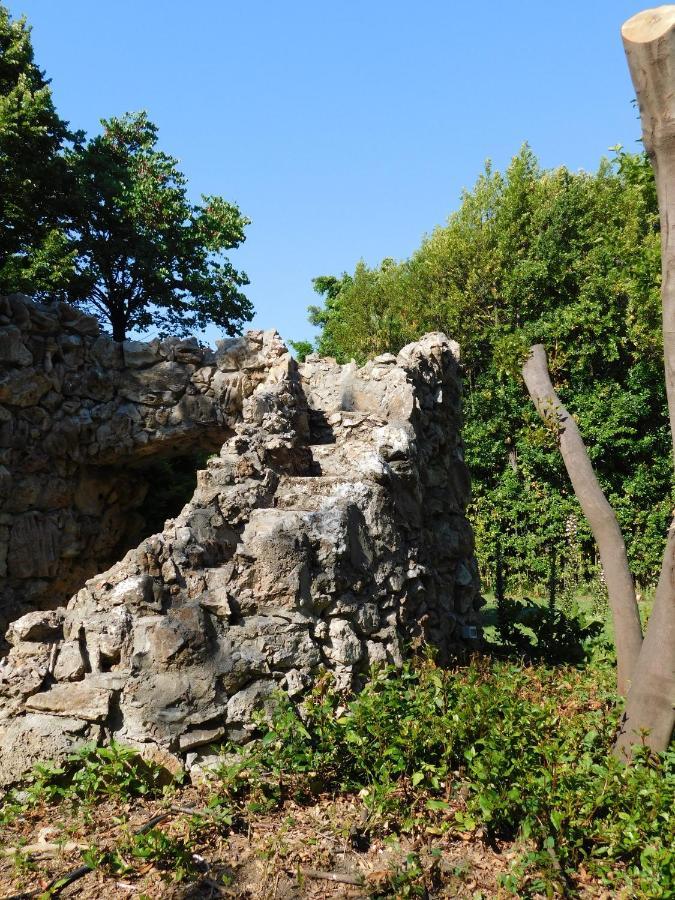Appartamento Con Piscina Immersa Nel Verde Cascina Exterior foto